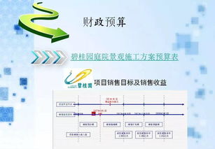 碧桂园项目策划与公关服务 创新实践与策略解析