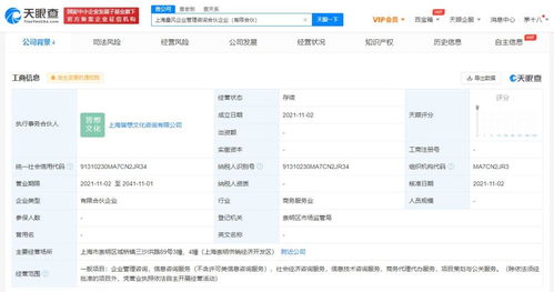 项目策划与公关服务的融合之道 从创意到实效的实践指南